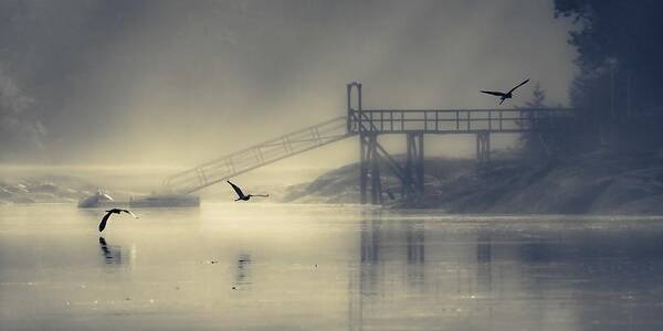 Dock Poster featuring the photograph Dock On The Bay by Jon Ehrmann