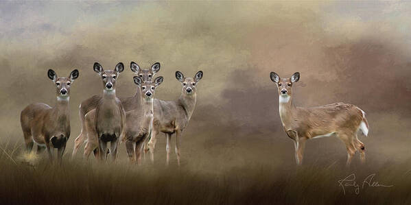 Deer Poster featuring the photograph Family Portrait by Randall Allen