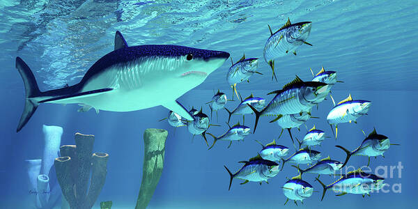 Maco Shark Poster featuring the digital art Mako Shark after Yellowfin Tuna by Corey Ford