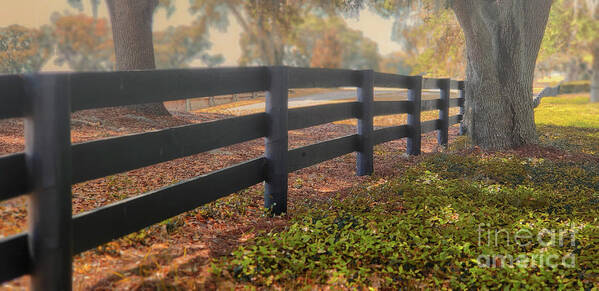 Wooden Split Rail Fence Poster featuring the photograph Misty Morning Walk by Mary Lou Chmura