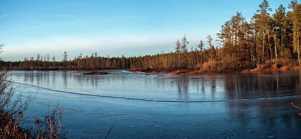 Landscape Poster featuring the photograph Pine Lands Lanscape by Louis Dallara