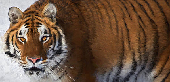 Tiger Poster featuring the photograph Siberian Tiger by Art Cole