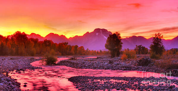 Grand Teton Poster featuring the photograph Spread Creek Purple Waters by Adam Jewell
