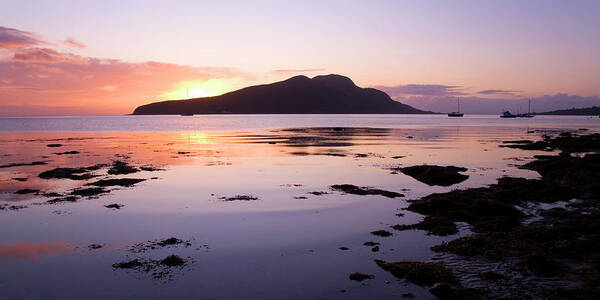 Tranquility Poster featuring the photograph View To Holy Isle At Sunrise, Arran by David C Tomlinson