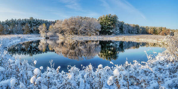 Uw Madison Arboretum Poster featuring the photograph Winter's Reflection by Brad Bellisle