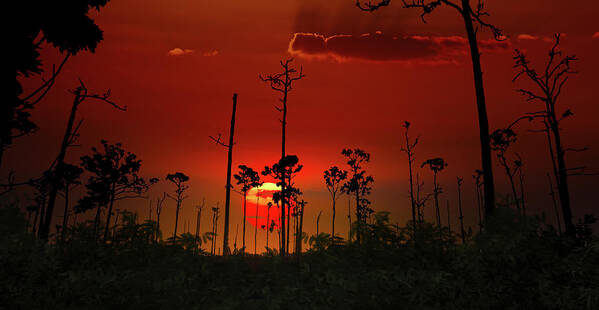 Sunset Poster featuring the photograph A Quiet Place by Mark Andrew Thomas