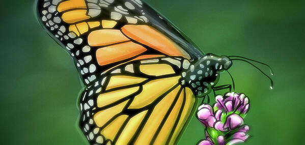 Butterflies Poster featuring the digital art Art - Wonderful Butterfly by Matthias Zegveld