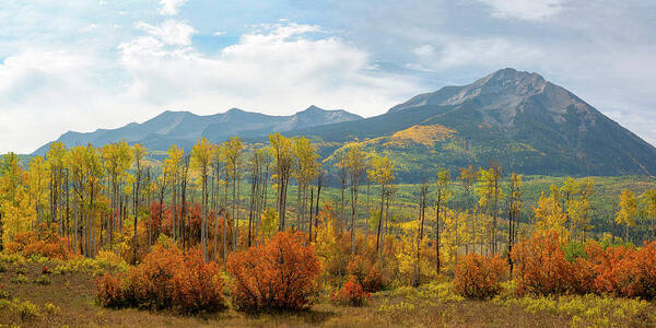 Autumn Poster featuring the photograph Beckwith Autumn by Aaron Spong