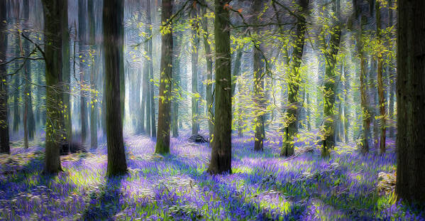 Oil Poster featuring the photograph Bluebell wood ol 1 by Remigiusz MARCZAK