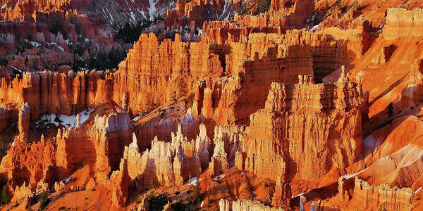 Bryce Canyon Panorama Poster featuring the photograph Bryce Canyon Sunrise Hoodoo Panorama by Gregory Ballos