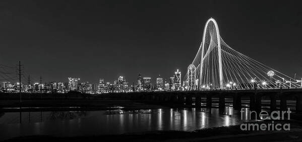 Dallas Poster featuring the photograph Dallas Skyline Night Pano Grayscale by Jennifer White