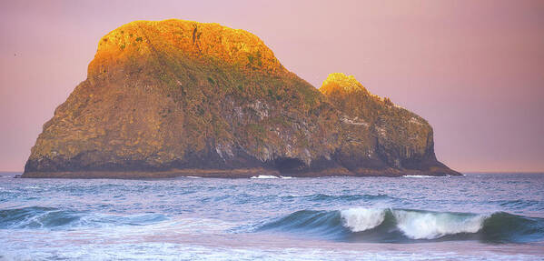 Oregon Poster featuring the photograph First Light, First Wave by Darren White