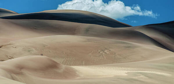 Great Sand Dunes National Park Poster featuring the photograph Great Sand Dunes National Park II_02 by Greg Reed