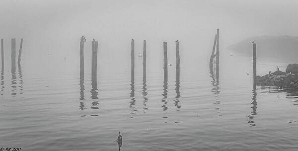 Serene Poster featuring the photograph In the Midst of a Fog by Richard Bean