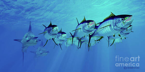 Yellowfin Tuna Poster featuring the digital art Marlin after Yellowfin Tuna School by Corey Ford