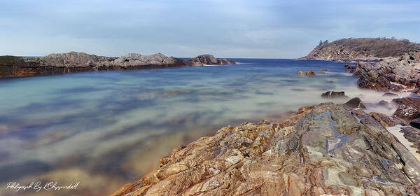 Forster Photography Poster featuring the digital art On The Rocks Forster 88226 by Kevin Chippindall