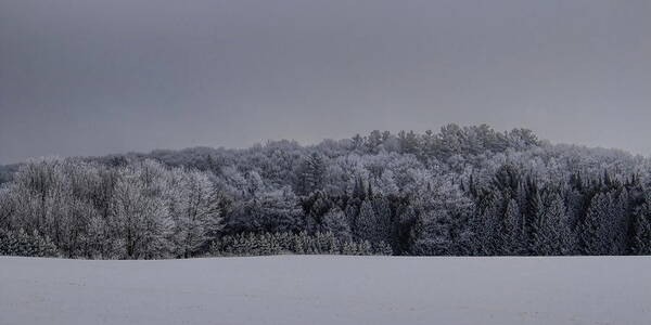 Winter Poster featuring the photograph Rime Ice Hill by Dale Kauzlaric