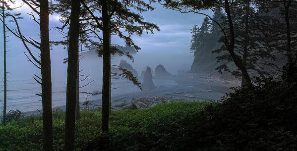 Ruby Beach Poster featuring the photograph Ruby Beach Washington State_a_03 by Greg Reed