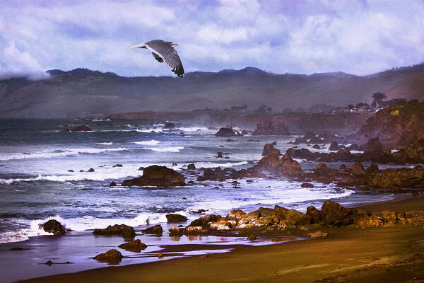 Seascape Poster featuring the photograph California Highway 1 by Kandy Hurley