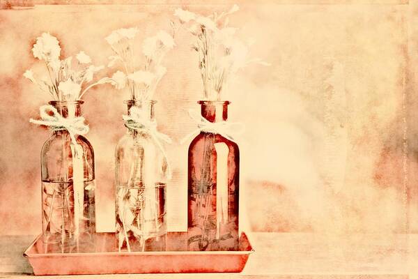 Peach Poster featuring the photograph 1-2-3 Bottles - r9t2b by Variance Collections