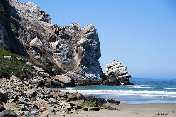 Barbara Snyder Poster featuring the photograph A Piece of the Rock at Morro Bay 1 #1 by Barbara Snyder