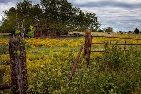 Shed Poster featuring the photograph An Old Shed #2 by Mark Alder