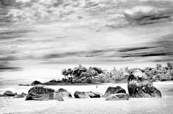Beach Poster featuring the photograph Boulders On The Beach #1 by William Voon