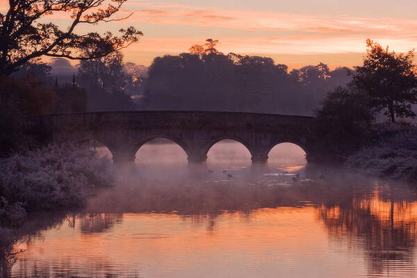 Bridge Poster featuring the photograph Bridge at Dawn / Ireland by Barry O Carroll