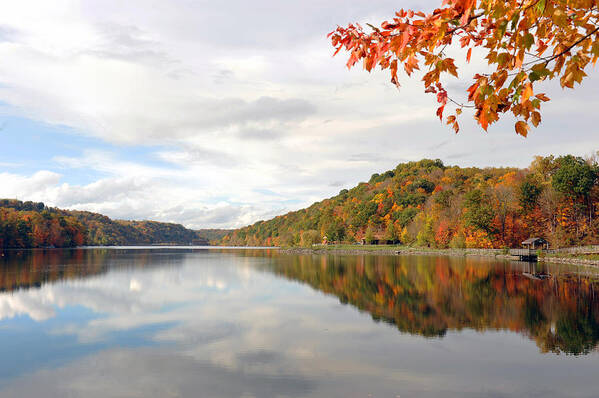 Fall Foliage Poster featuring the photograph Cheat Lake #1 by Dung Ma