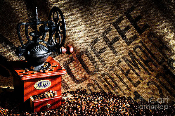 Coffee Poster featuring the photograph Coffee Beans and Grinder #1 by Danny Hooks