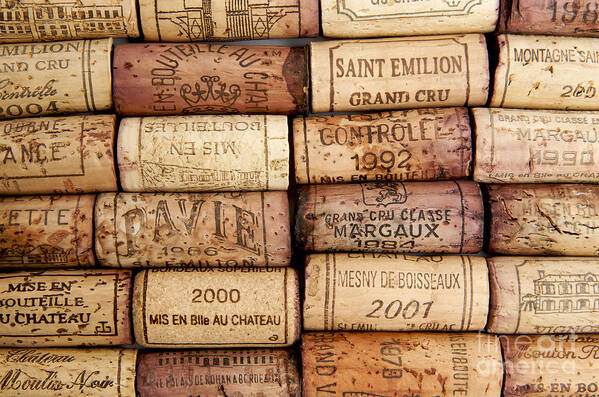 Vertical; Concept; French Wine; Wine; Vintage Wine; A Great Wine; Wine Growing; Heartland; Alcohol; Cork; Vintage; Many; Several; Red Wine; Old; To Drink; Liquid; Pleasure; Enjoyment; Grand Cru; Wine Tasting Session; To Taste; Way Of Life Poster featuring the photograph Corks #1 by Bernard Jaubert