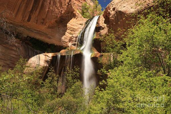 Calf Creek Falls Poster featuring the photograph Desert Canyon Waterfall #1 by Adam Jewell