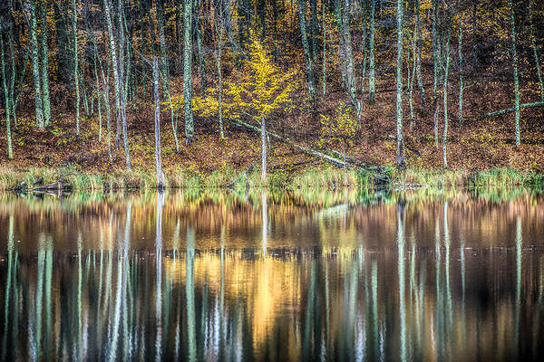 Autumn Poster featuring the photograph Fall Reflections #1 by Paul Freidlund