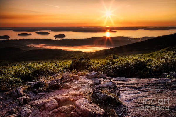 Acadia National Park Poster featuring the photograph First Light #1 by Deborah Scannell