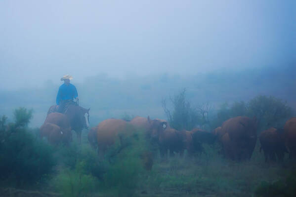 Livestock Poster featuring the photograph Foggy Morning Gather #1 by Kelli Brown