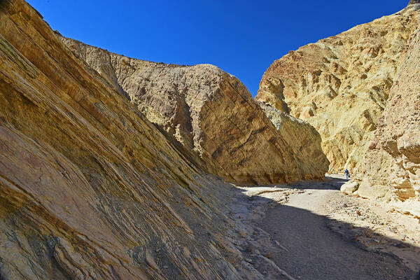  Poster featuring the photograph Golden Canyon - Death Valley #1 by Dana Sohr