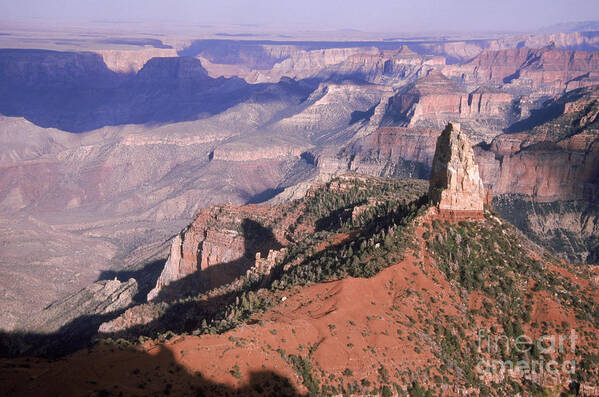 Grand Canyon Poster featuring the photograph Grand Canyon #1 by Mark Newman