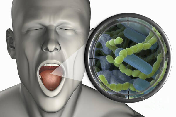 Bacterium Poster featuring the photograph Halitosis #1 by Science Picture Co