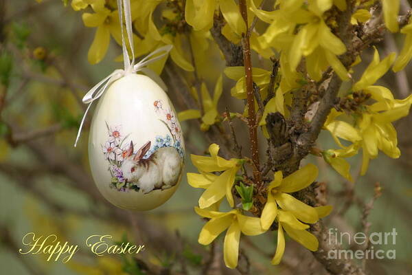 Happy Easter Poster featuring the photograph Happy Easter #1 by Living Color Photography Lorraine Lynch