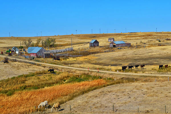 Barns Poster featuring the photograph Home On The Range #1 by Kelly Reber