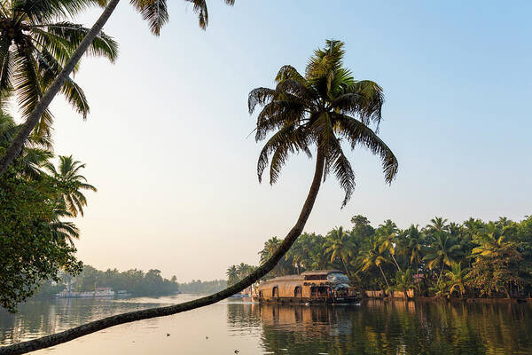 Alappuzha Poster featuring the photograph Kerala Backwaters Near Alleppey #1 by Peter Adams