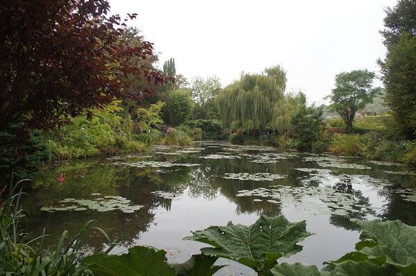 Monet Poster featuring the photograph Lilly Pads #1 by Kristine Bogdanovich