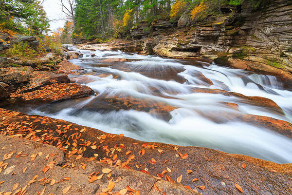 Lower Ammonoosuc Falls Poster featuring the photograph Lower Ammonoosuc Falls #1 by Bryan Bzdula