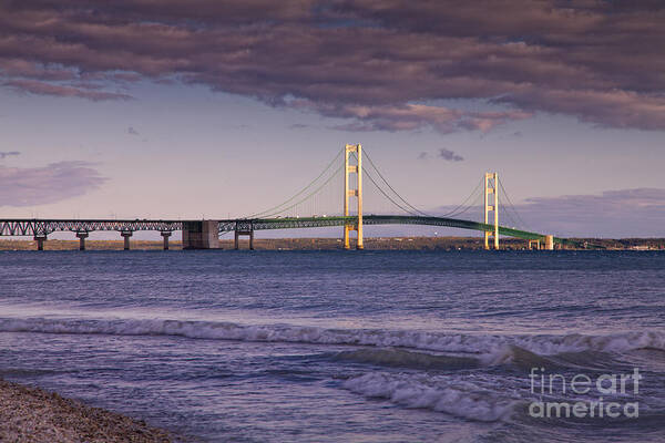 Michigan Poster featuring the photograph Mackinac Bridge #1 by Timothy Hacker