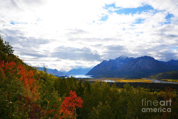 Alaska Poster featuring the photograph Matanuska Glacier #1 by Kate Avery