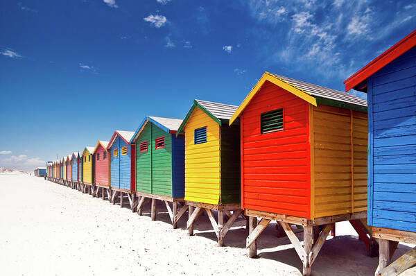 Beach Hut Poster featuring the photograph Muizenberg Beach Cape Town #1 by Ferrantraite