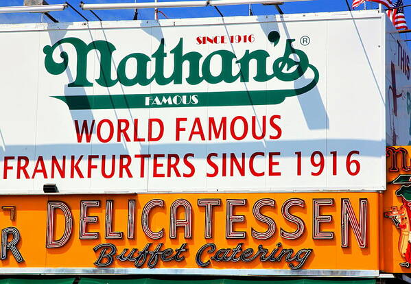 Dogs Poster featuring the photograph Nathan's Sign #1 by Valentino Visentini