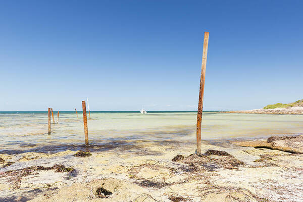 South Australia Poster featuring the photograph Ocean Poles #1 by THP Creative