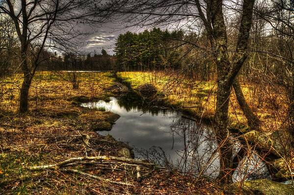 Farmland Poster featuring the photograph Peacefull #1 by Craig Incardone