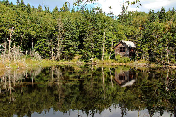 Jemmy Archer Poster featuring the photograph Pond along the AT by Jemmy Archer